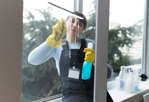 Nettoyage de vitres intérieures et extérieures à Mée